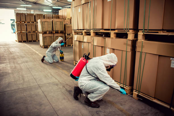 Best Best Pest Control Companies  in Ogden, NC