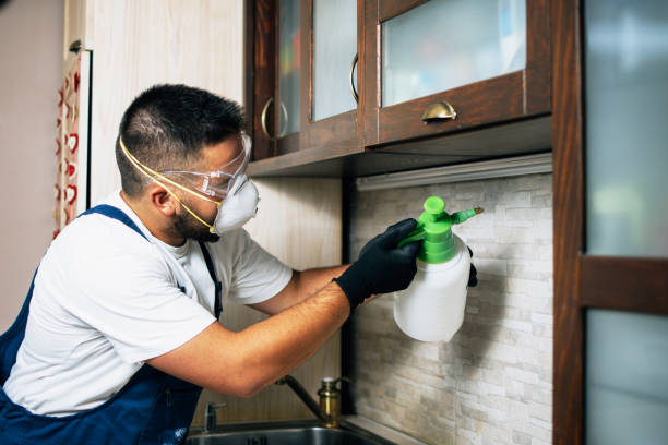Best Pest Control Near Me in Ogden, NC