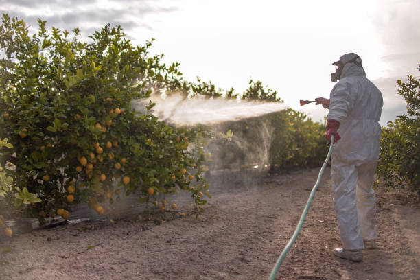 Best Affordable Pest Control Services  in Ogden, NC