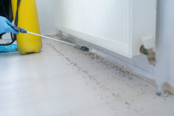 Best Emergency Pest Control  in Ogden, NC