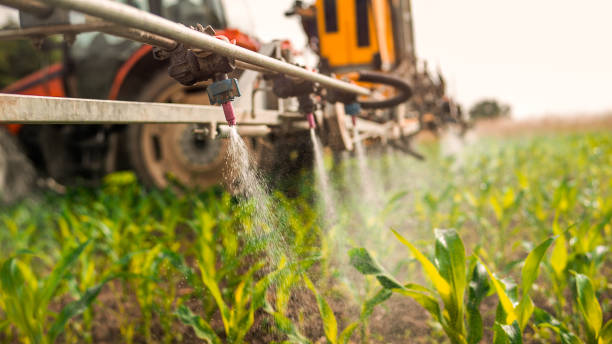 Best Commercial Pest Control Services  in Ogden, NC